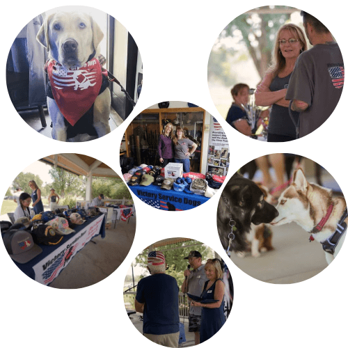 A collage of service animals and handlers